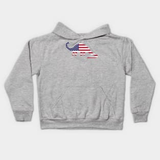 American Flag Dinosaur Kids Hoodie